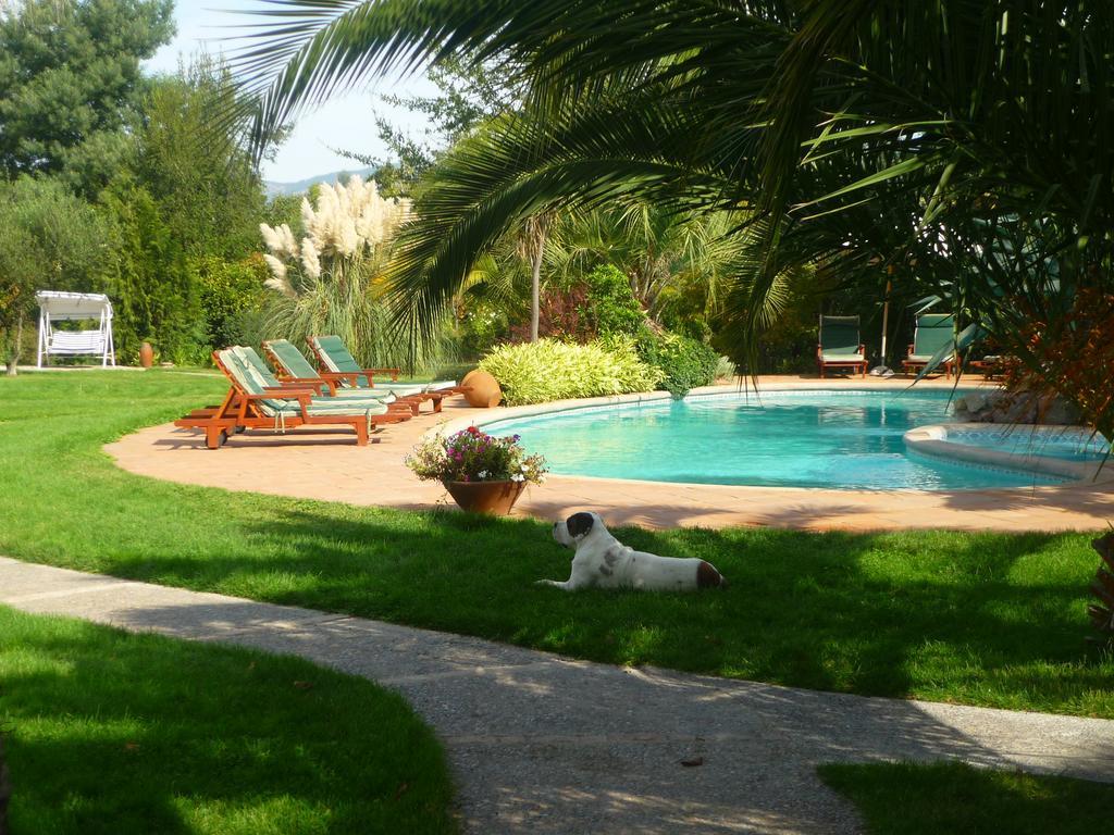 Hotel Boutique Solaz Bella Vista De Colchagua Санта-Крус Экстерьер фото